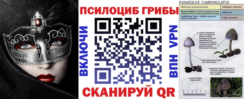 Галлюциногенные грибы ЛСД  Чекалин 